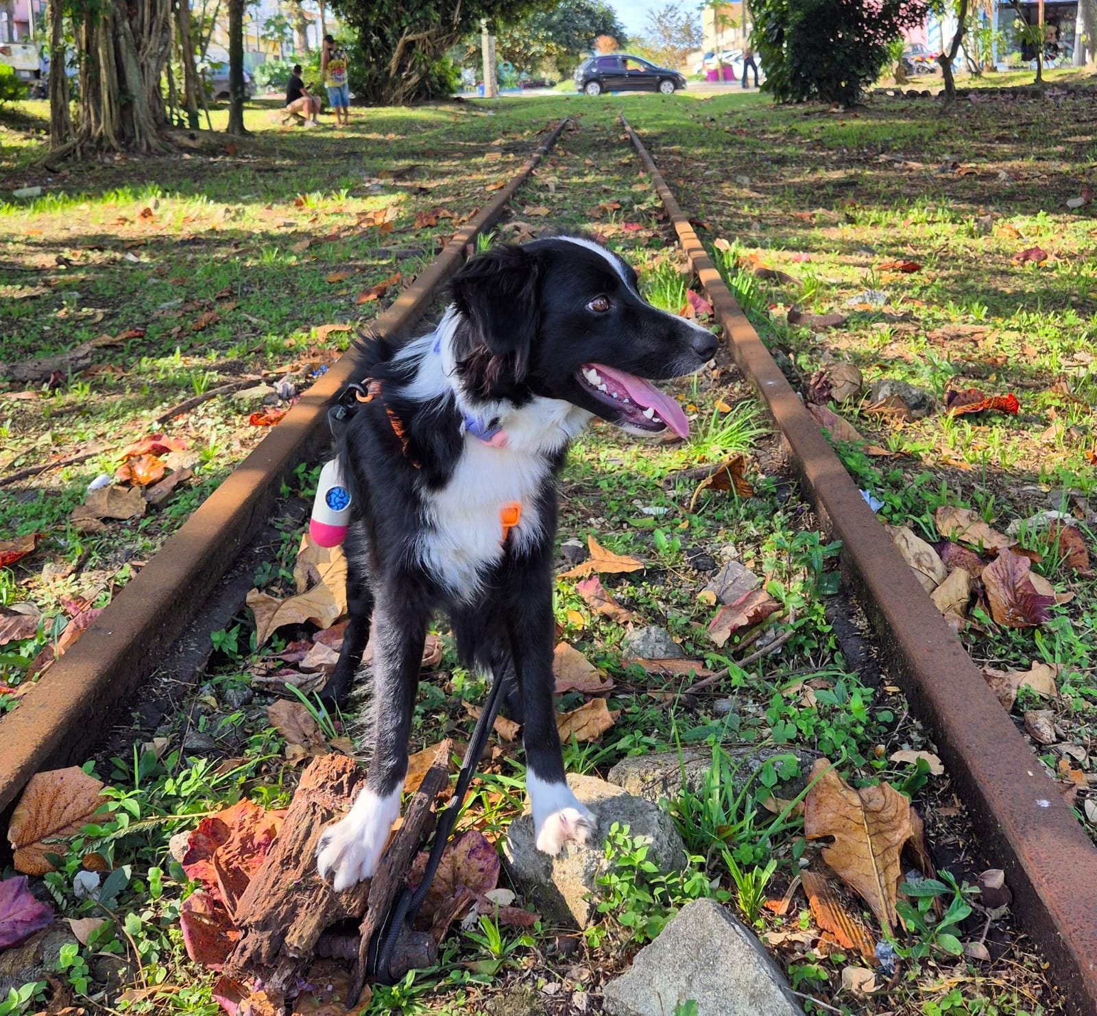 Sessão de fotos com a Arya