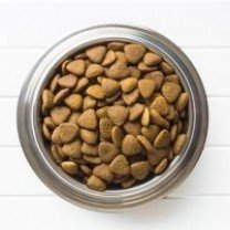 Tigela de ração para os pets.